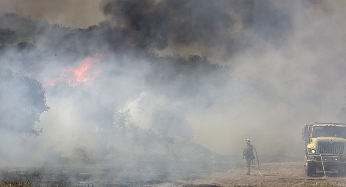 Thomas Fire in California swept across 1,020 sq. kilometers